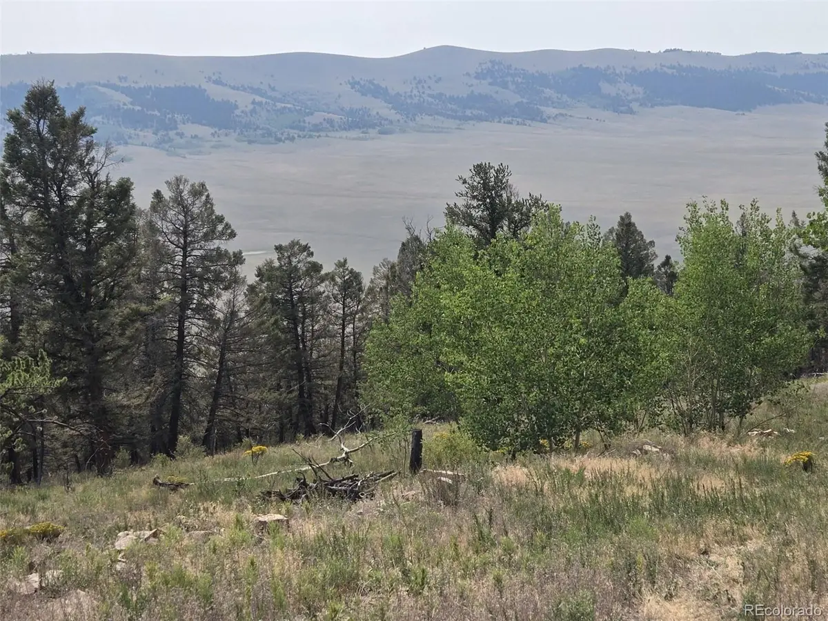 Lot 525 Middle Fork Vista, Fairplay, CO 80440 - #1