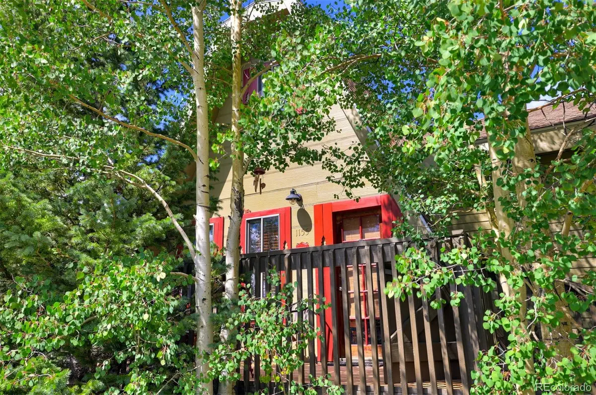 1155 Co Rd 6, Alma, CO 80420 - Image #1