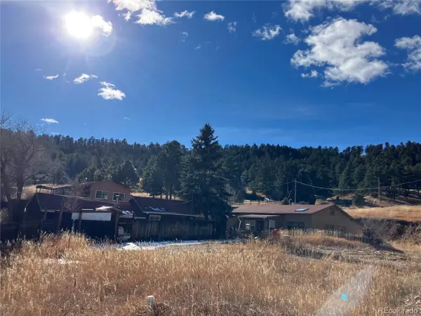211 Black Birch Road, Golden, CO 80401
