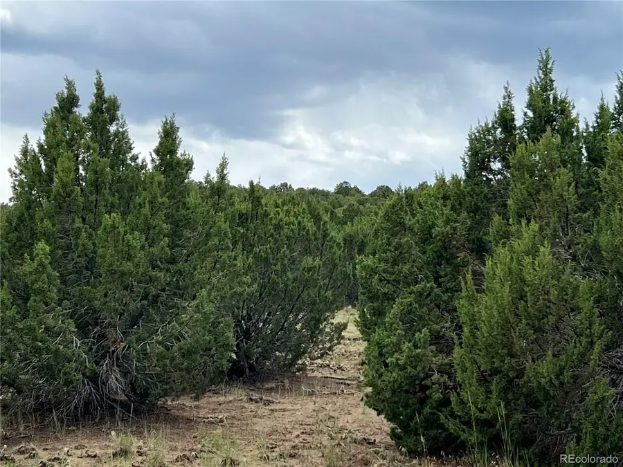 Sunrise Road, Walsenburg, CO 81089 - #2