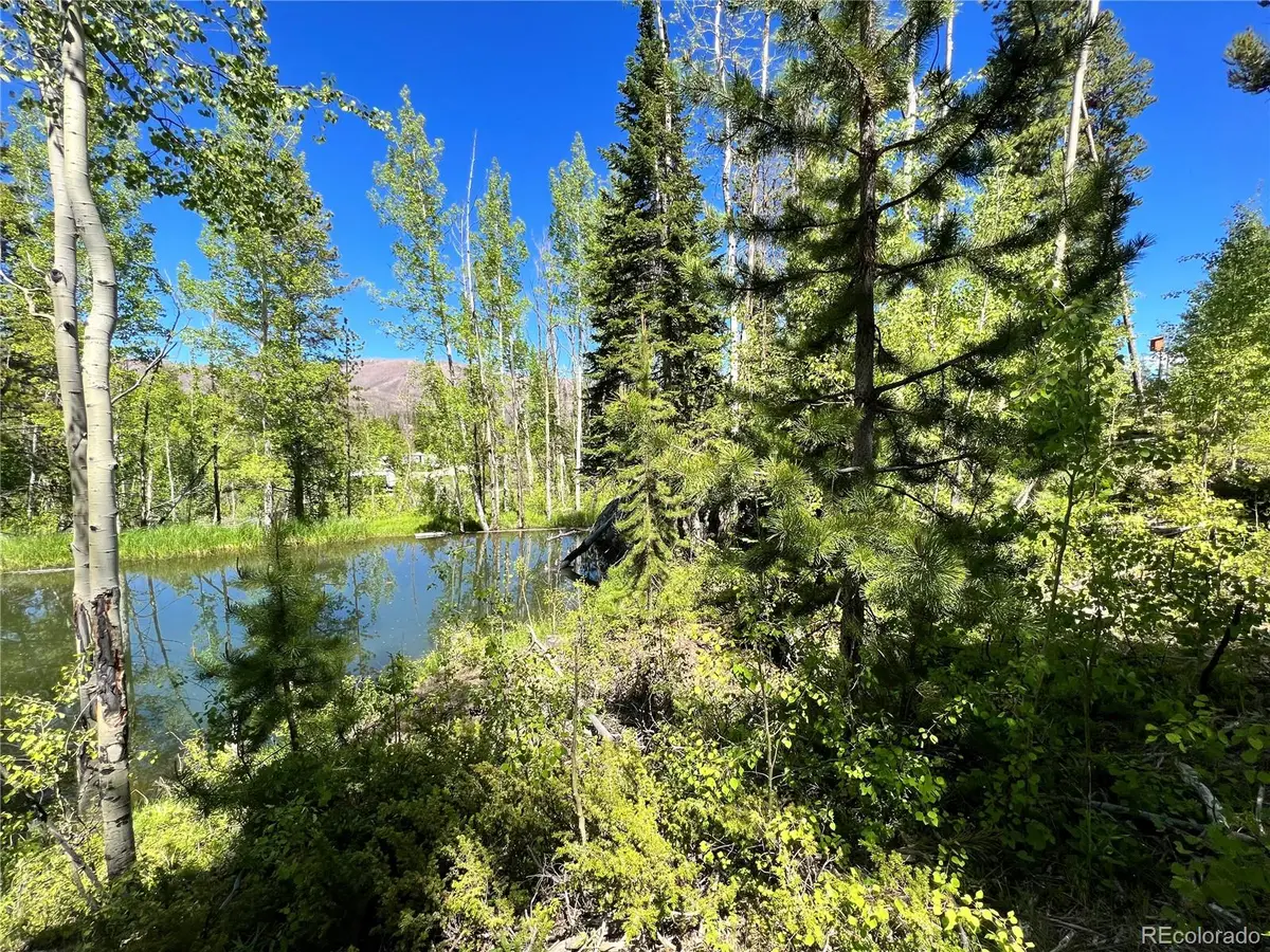 134 Mad Moose Lane, Grand Lake, CO 80447 - #1
