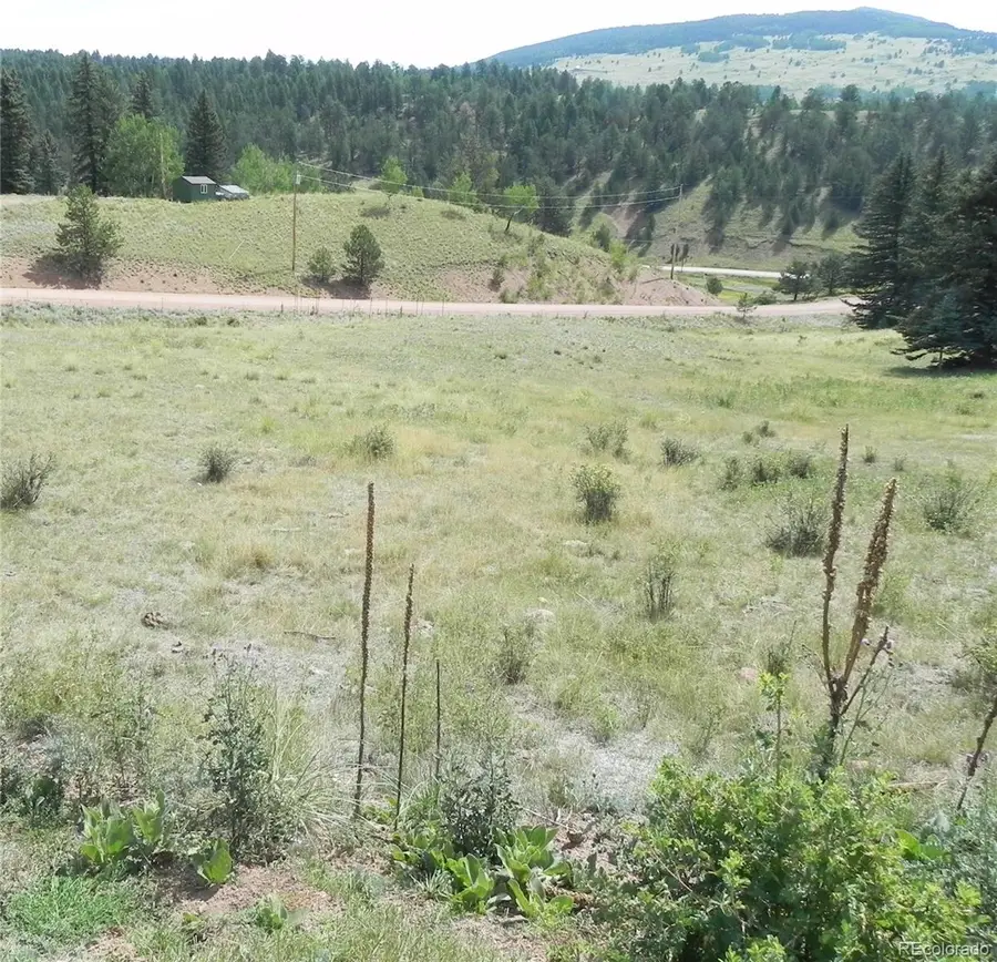 53 Nickel Plate Road, Cripple Creek, CO 80813 - #2