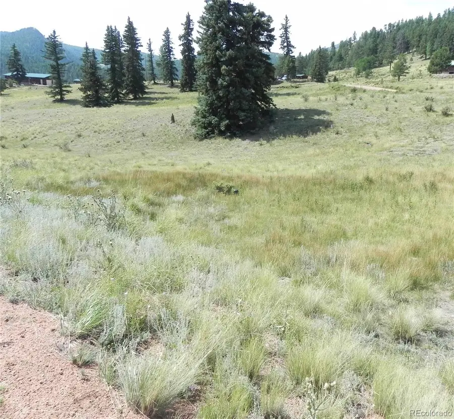 53 Nickel Plate Road, Cripple Creek, CO 80813 - #3