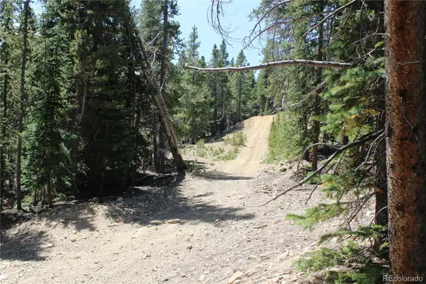 630 Fs 417.1, Black Hawk, CO 80422