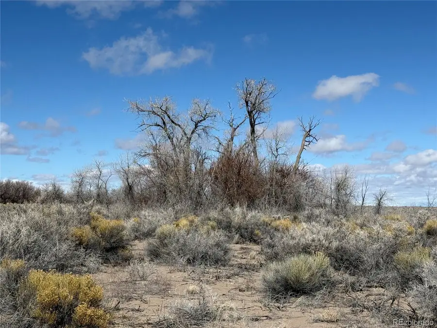 00 2nd Street, Alamosa, CO 81101 - #3