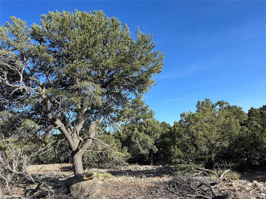 3821 Virtue Way, Crestone, CO 81131 - #3