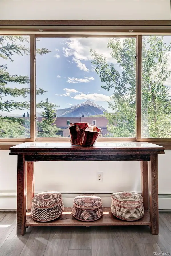 95600 Ryan Gulch Road #95613, Silverthorne, CO 80498