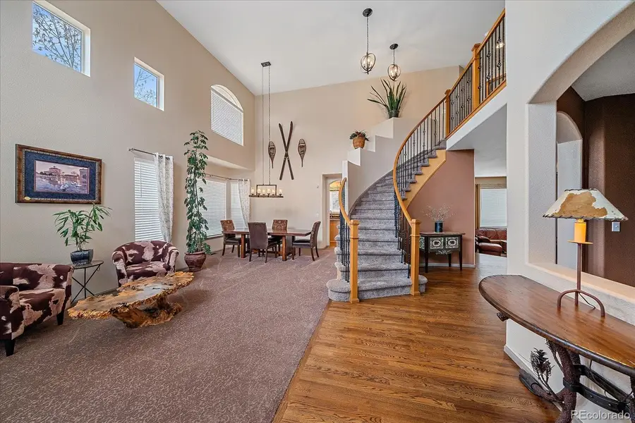 7204 S Ukraine Street, Aurora, CO 80016 - #3