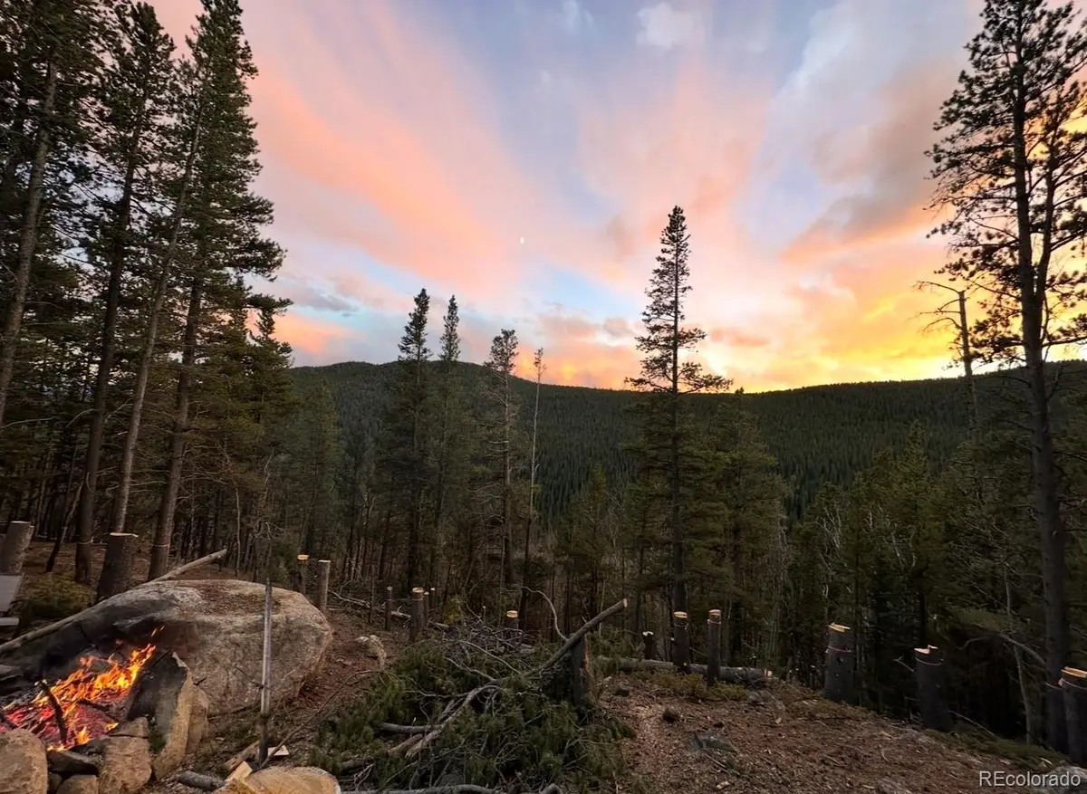 000 Loch Lomond Road, Idaho Springs, CO 80452 - #1