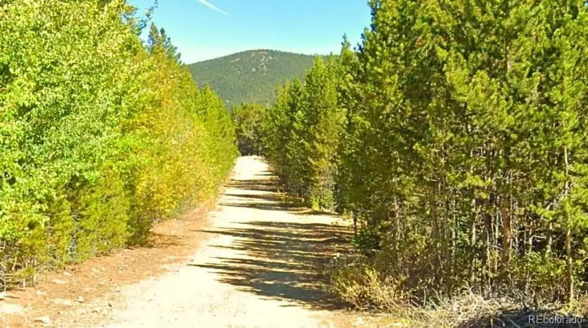 Lot 339 Eva Road, Idaho Springs, CO 80452 - #2
