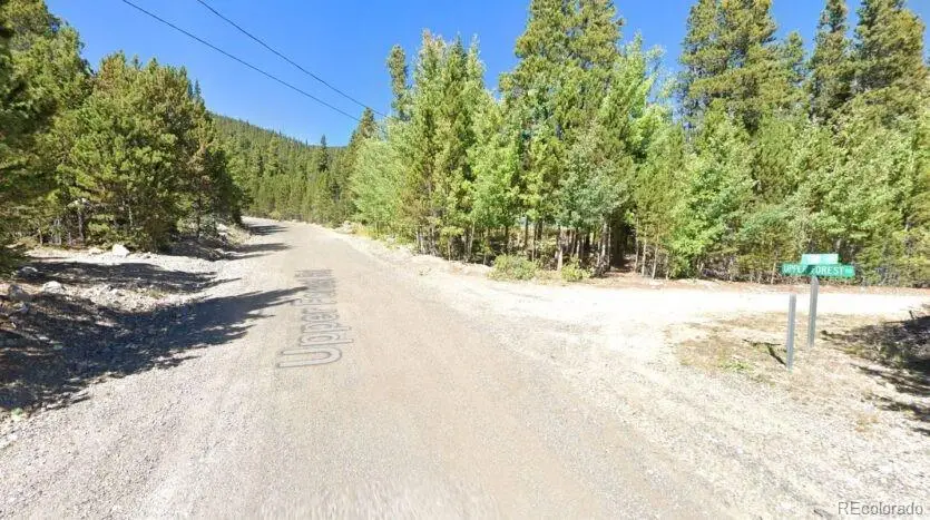 Lot 339 Eva Road, Idaho Springs, CO 80452 - #3