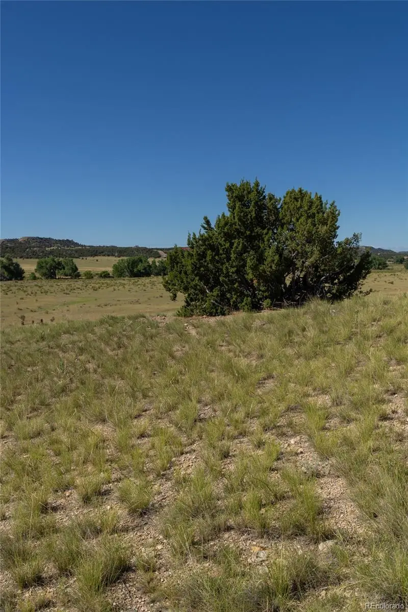 Par 10 Greenhorn Creek Dr, Pueblo, CO 81004 - #3