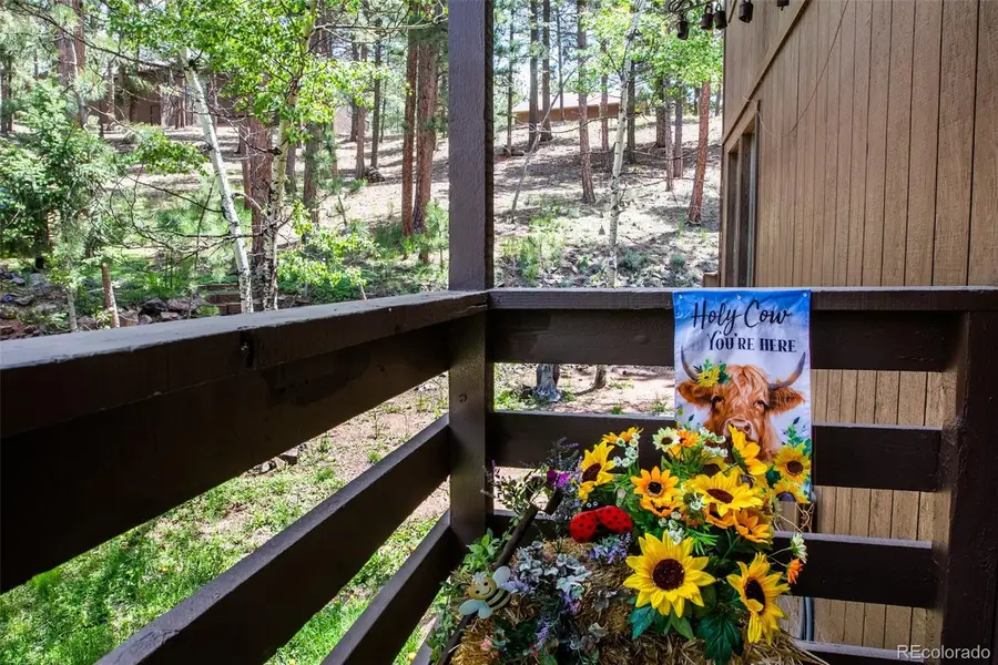 560 Manor Court, Woodland Park, CO 80863 - Image #3