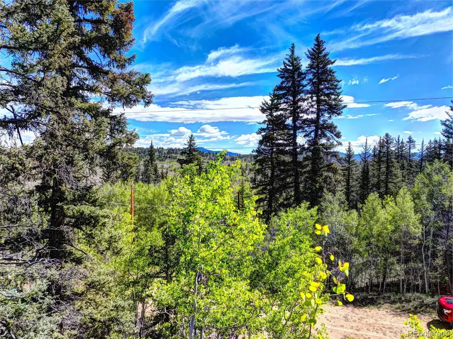75 Swiggler, Jefferson, CO 80456 - #3