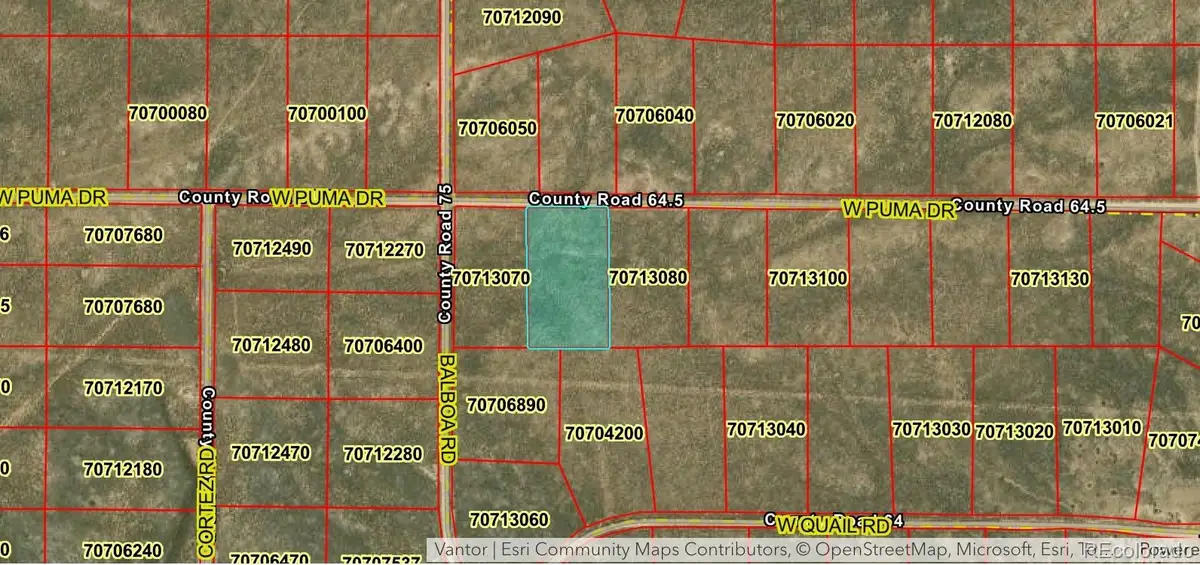 LOT 14 Puma, Fort Garland, CO 81133 - #1