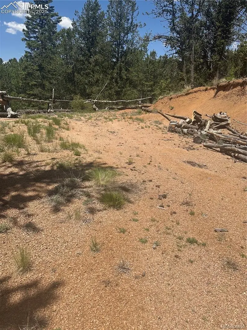 110 Brown Bear Lane, Cripple Creek, CO 80813 - #3