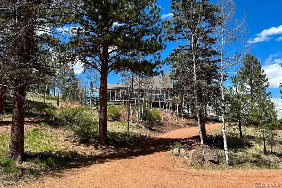 83 Pika Creek Trail, Florissant, CO 80816 - Image #2
