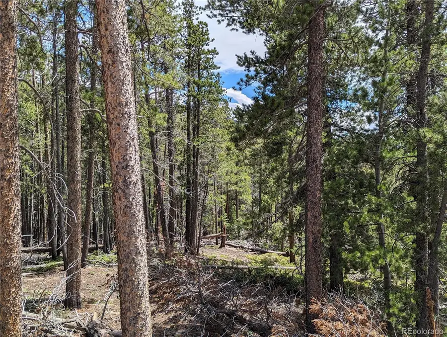 3159 Purnell Lane, Fort Garland, CO 81133 - #2