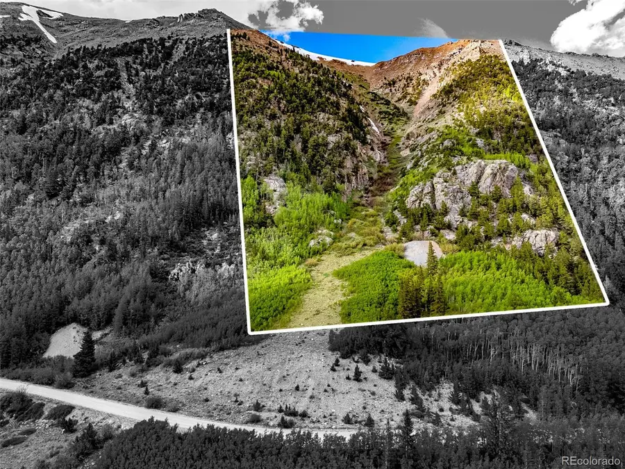 00000 Forest Service Road 451, Alma, CO 80420 - Image #3