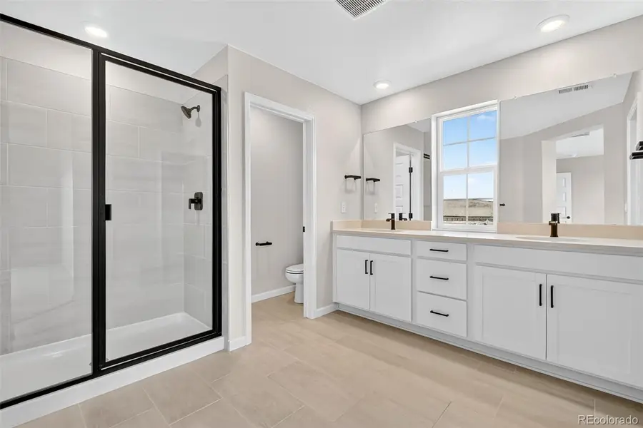 4334 Ridgewalk Point, Castle Rock, CO 80108 - Image #3