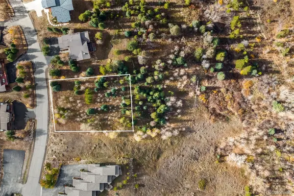 228 Fawn Court, Silverthorne, CO 80498