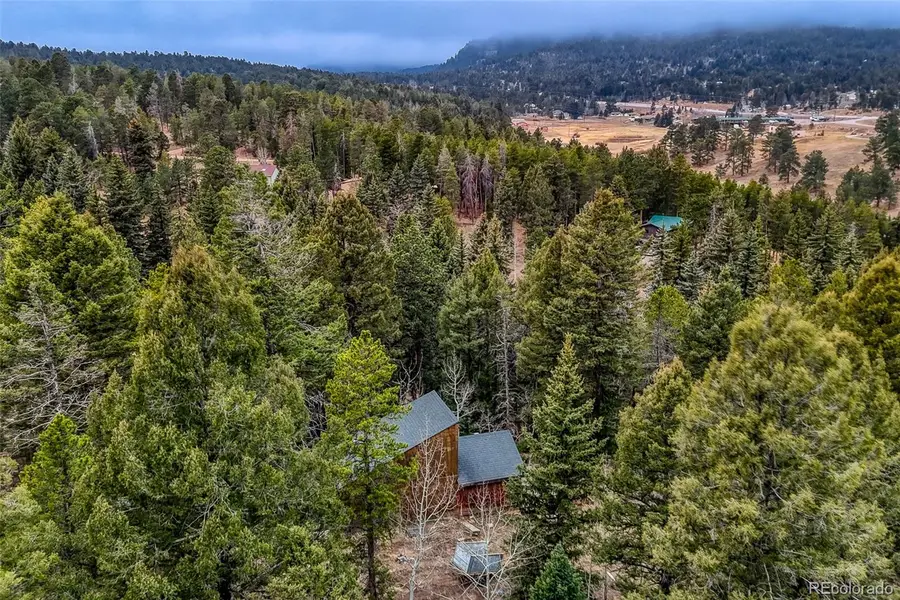 12096 Elk Trail Road, Conifer, CO 80433 - #3