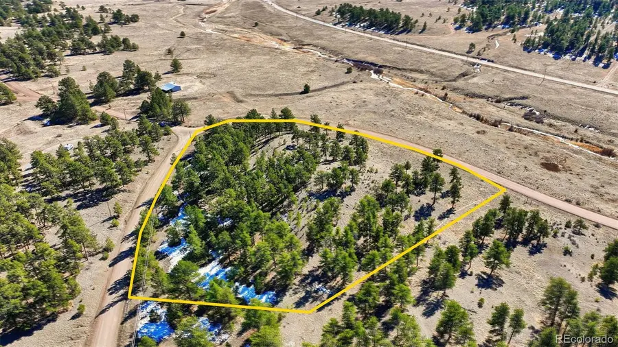 50 Stage Coach Road, Guffey, CO 80820 - #3