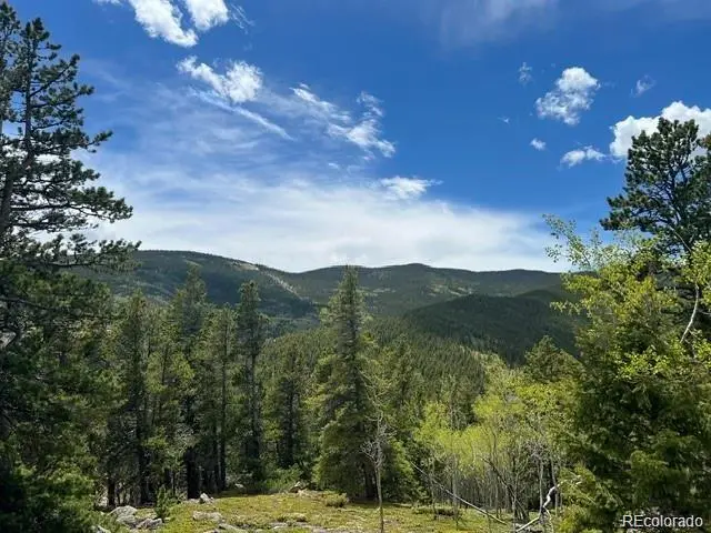 003 Sunny Skies Trail, Idaho Springs, CO 80452 - #1