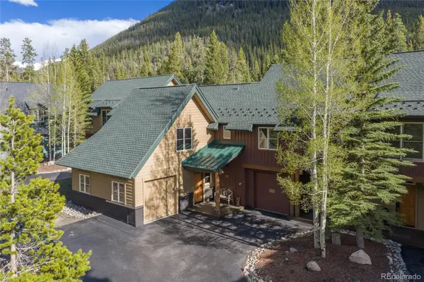 226 Alpen Rose Place #8722, Dillon, CO 80435