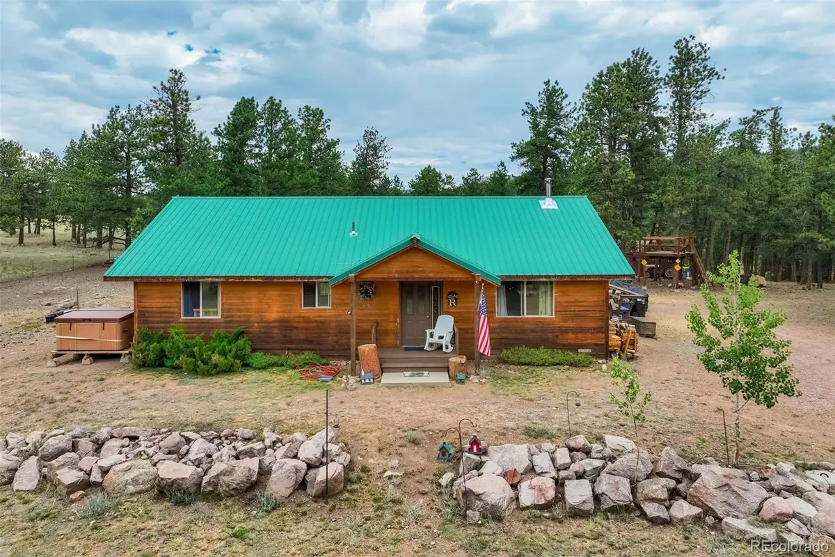 141 Cabin Lane, Guffey, CO 80820 - #1