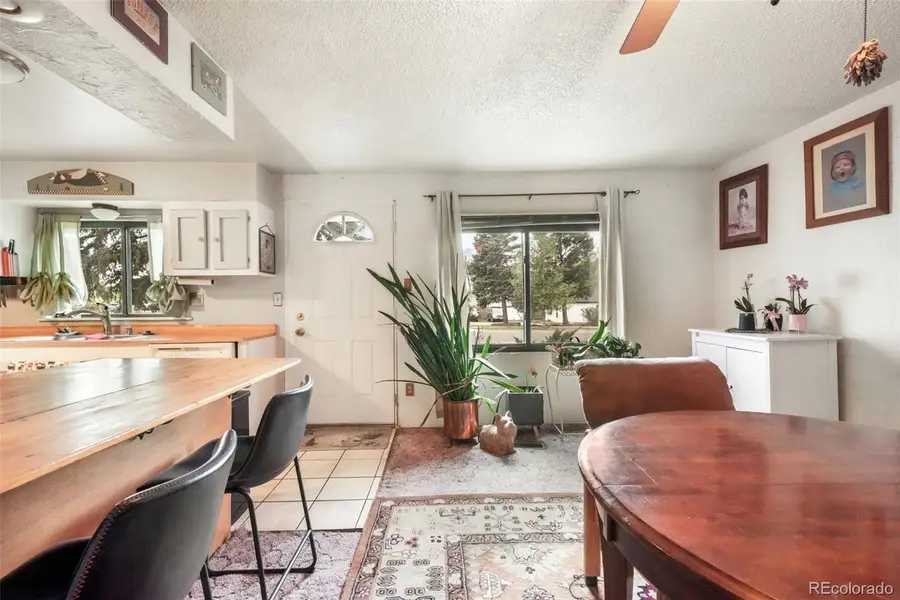 127 3rd Street, Monument, CO 80132 - #2
