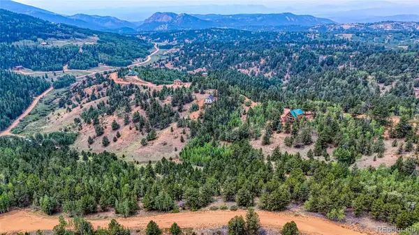 71 Brown Bear Lane, Cripple Creek, CO 80813