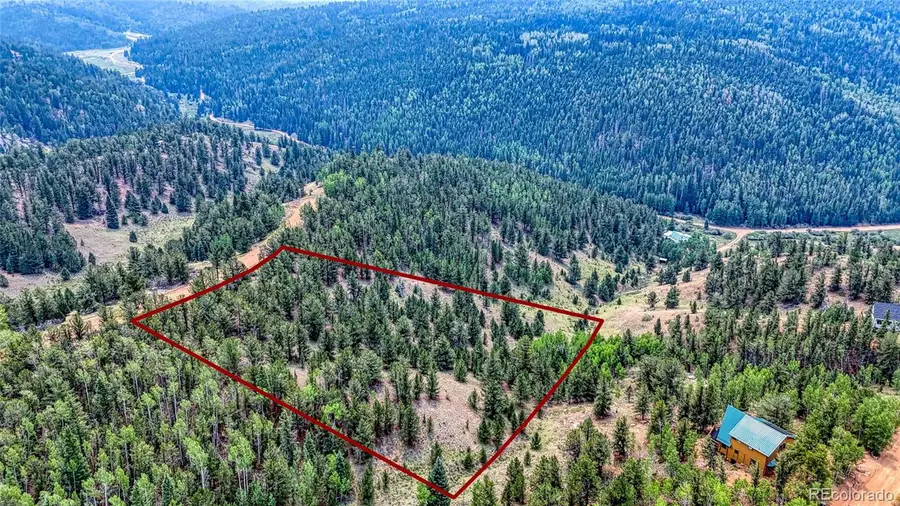 71 Brown Bear Lane, Cripple Creek, CO 80813 - #2