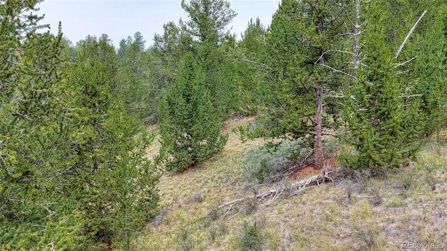 71 Brown Bear Lane, Cripple Creek, CO 80813 - #3
