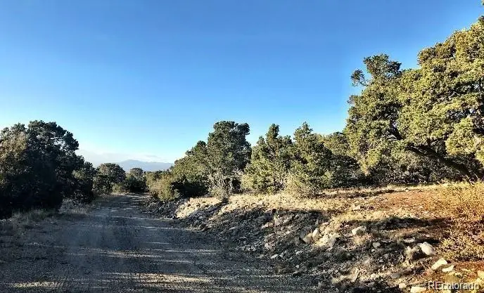 233 Lake Of The Falls Parkway, Mosca, CO 81146 - Image #3