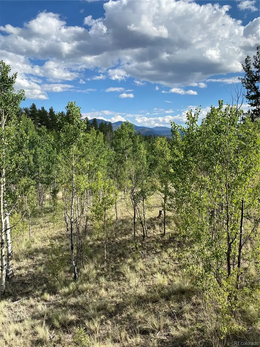 217 Bordenville Road, Jefferson, CO 80456 - #2