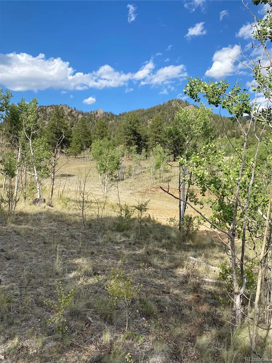 217 Bordenville Road, Jefferson, CO 80456 - #3