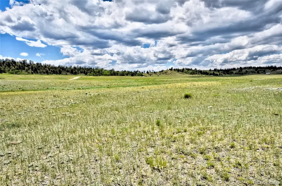 000 Black Hawk Road, Hartsel, CO 80449 - #3