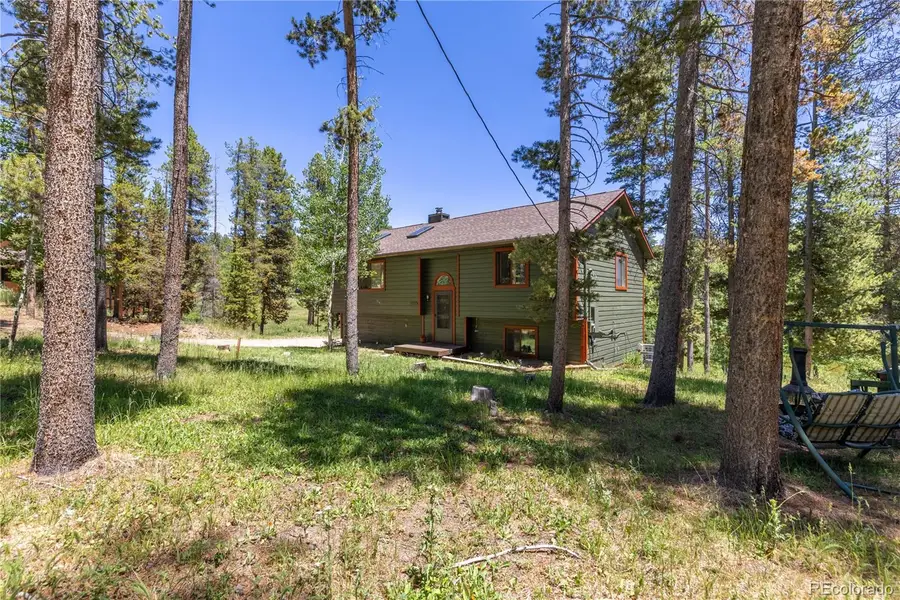 10868 Norton Avenue, Conifer, CO 80433 - #3