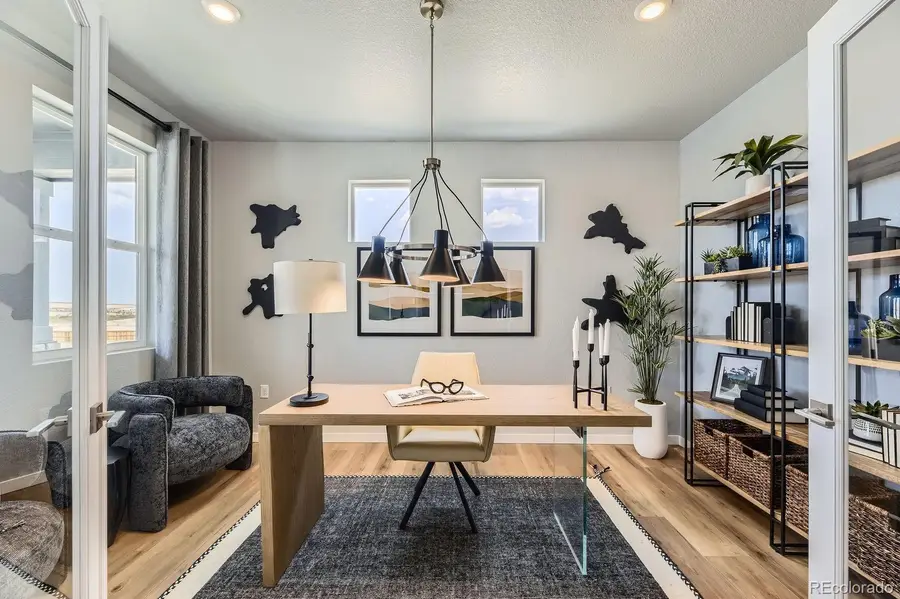 13786 Daffodil Point, Parker, CO 80134 - #3