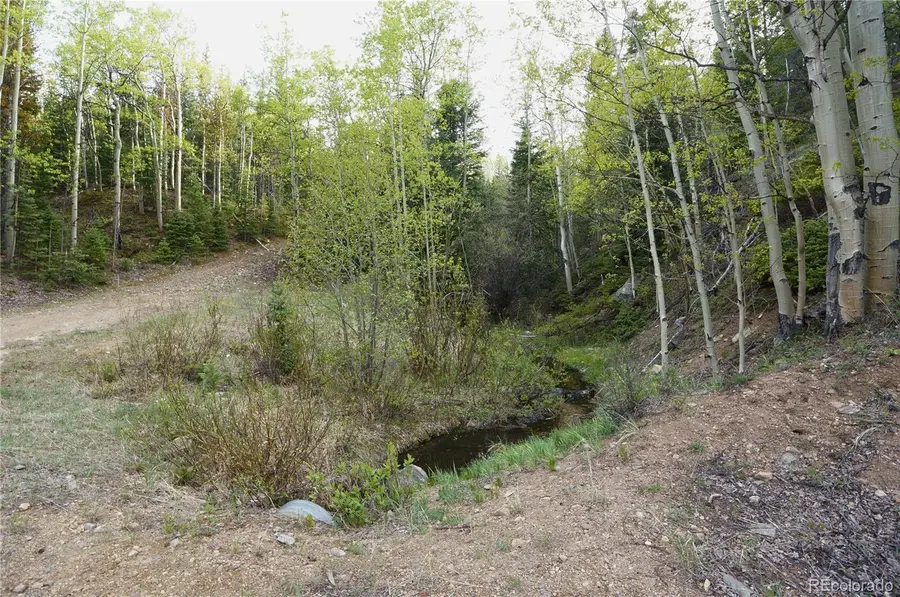 000 Trail Creek Road, Idaho Springs, CO 80452 - #2