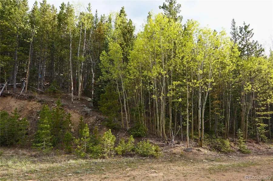 000 Trail Creek Road, Idaho Springs, CO 80452 - #3