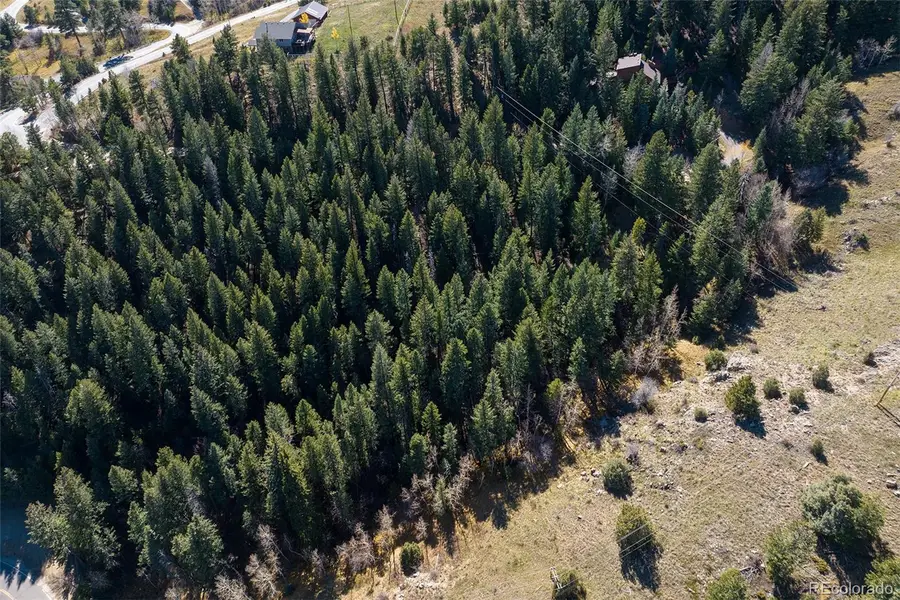 76 Ponderosa Place, Evergreen, CO 80439 - Image #2