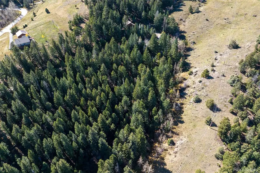 76 Ponderosa Place, Evergreen, CO 80439 - Image #3