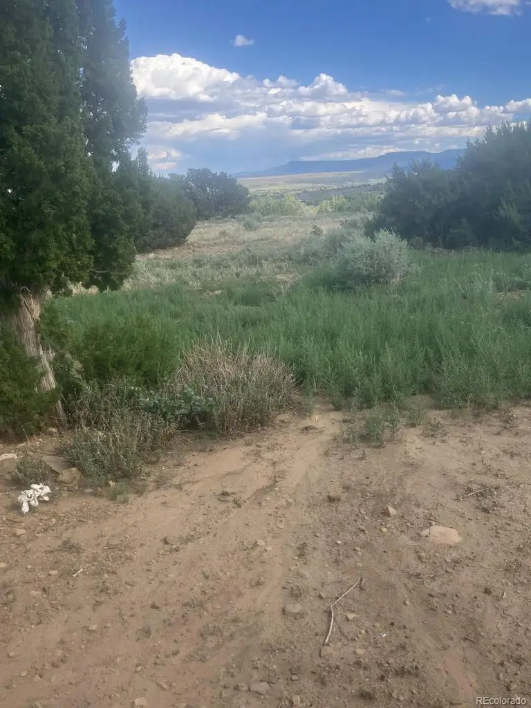 17161 County Road 71.1, Trinidad, CO 81082 - #3