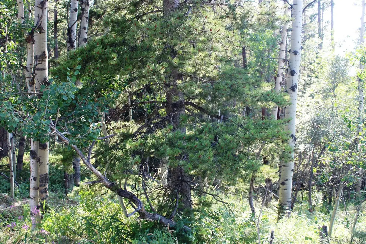 Lot 028 Sunflower Lane, Black Hawk, CO 80422 - #1