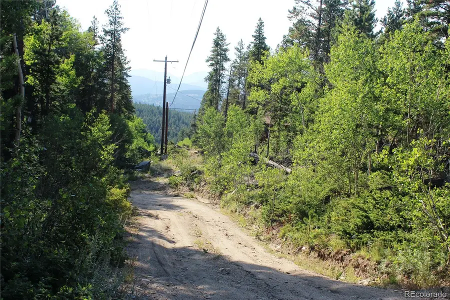 Lot 028 Sunflower Lane, Black Hawk, CO 80422 - #3
