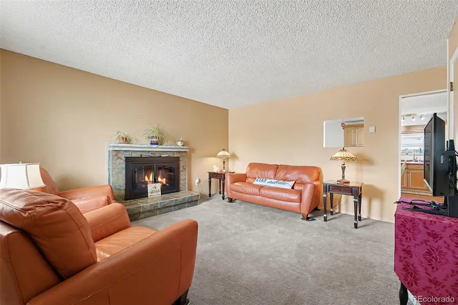 1118 Mobile Street, Aurora, CO 80011 - #3