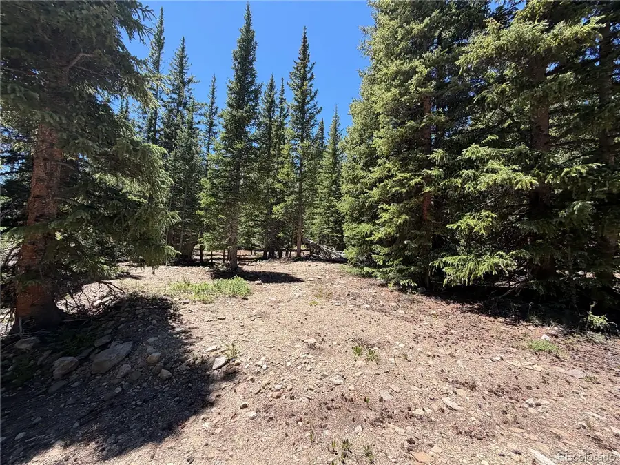 339 Silverheels Place, Fairplay, CO 80440 - #2