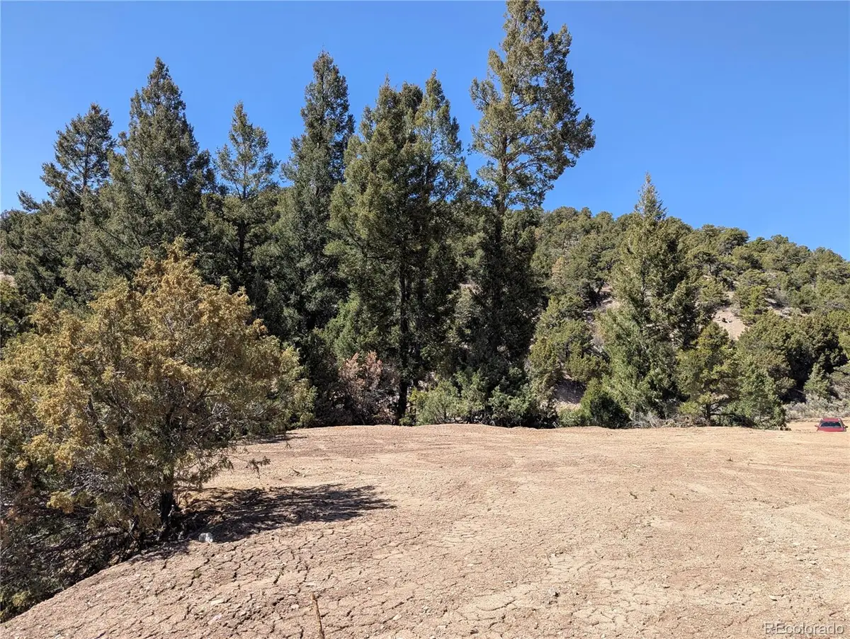 Lot 1593 Jaidi Road, Fort Garland, CO 81133 - #1